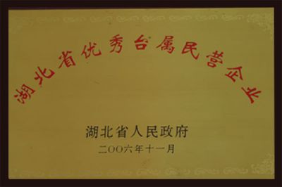 湖北省優(yōu)秀臺屬民營企業(yè)